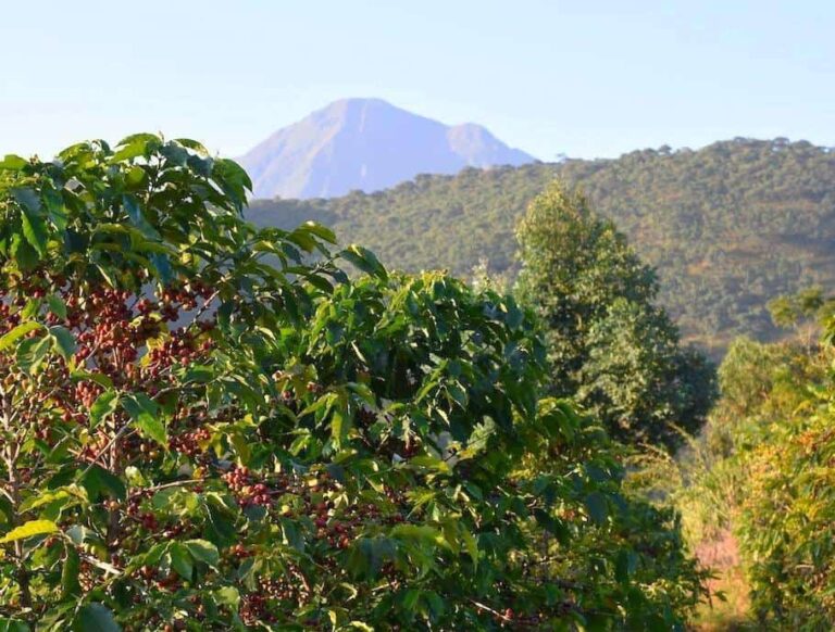 April Gourmet Coffees|Gourmet Coffees April|Gourmet April Coffees|Gourmet April Coffees|Gourmet Coffees April|gourmet coffees april|Gourmet April Coffees