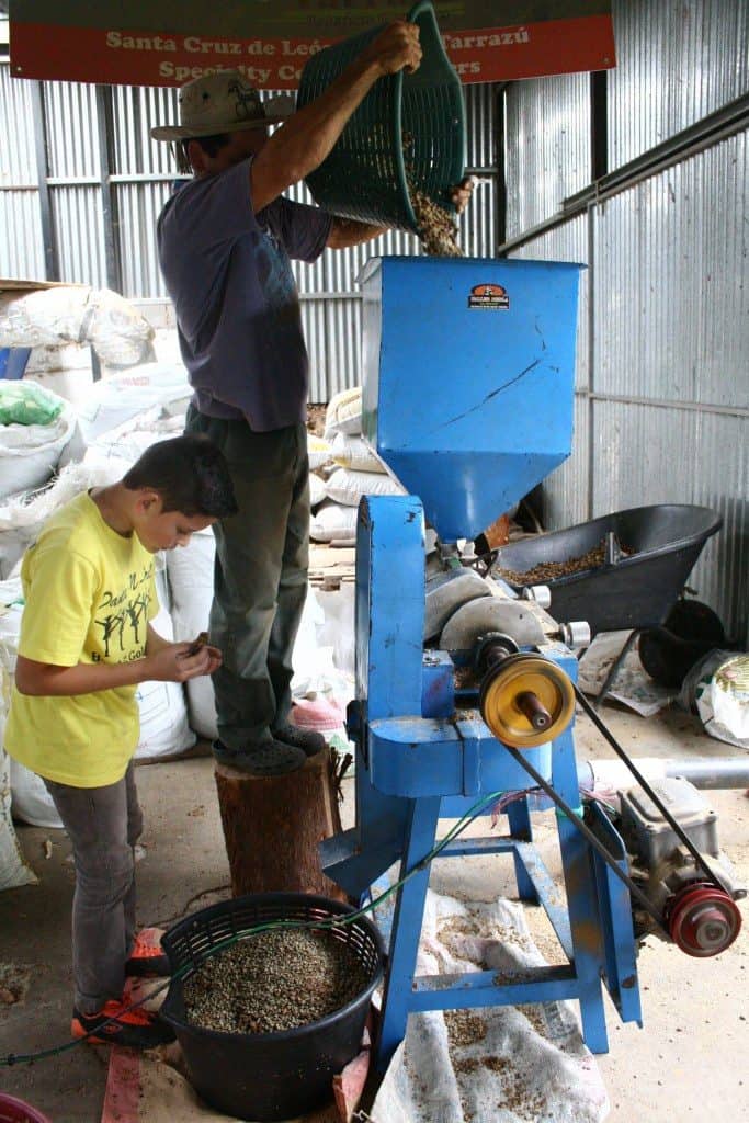 Costa Rica La Luna -- notes of Red Grape and Caramel Nut bar with sweet Dried Fig aroma