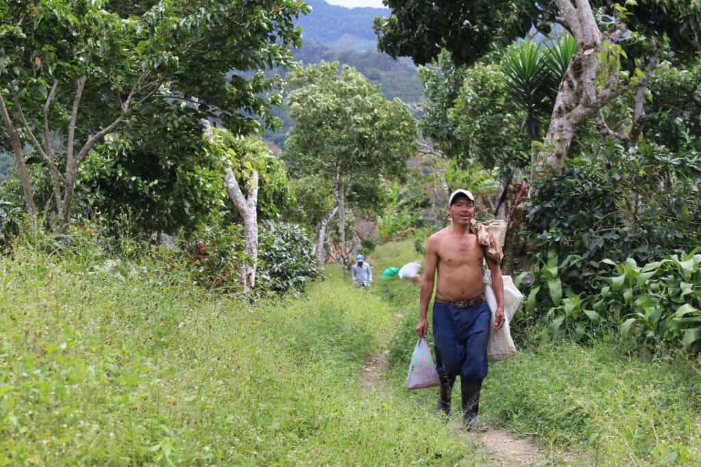 El Neto 2 Nicaraguan Coffee