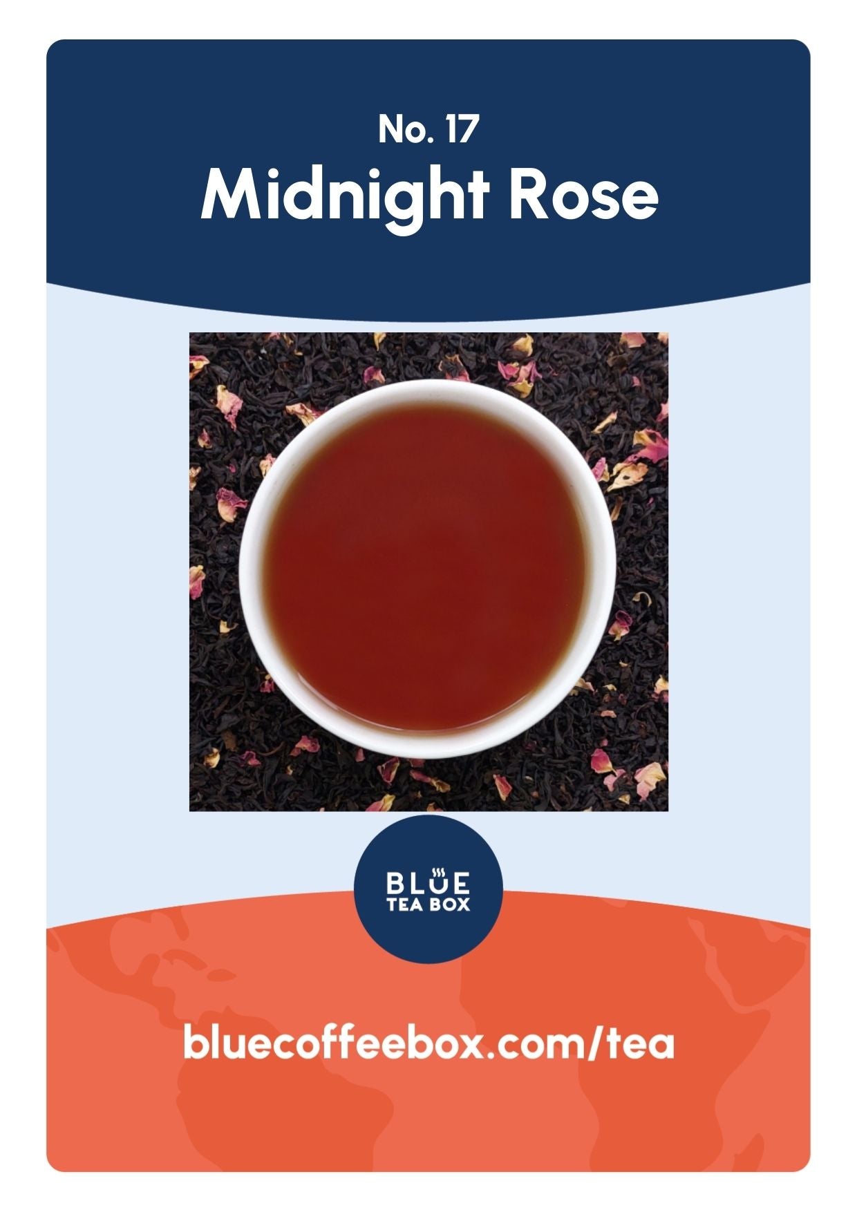 Midnight Rose No. 17