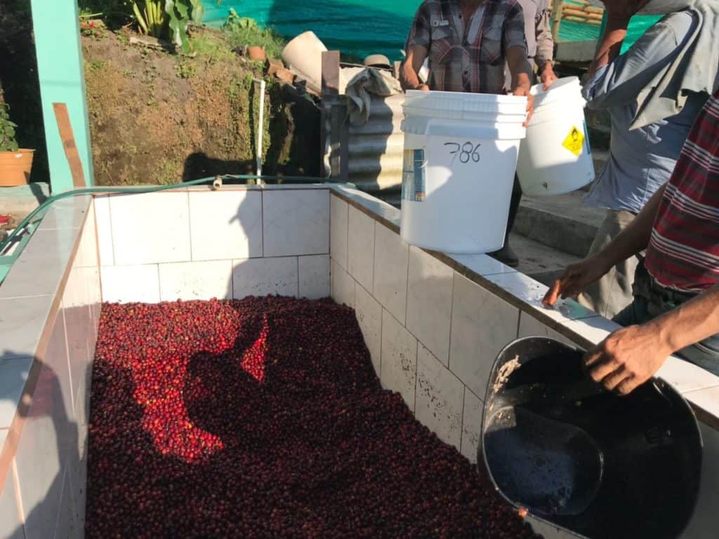 Santuario Colombian blend