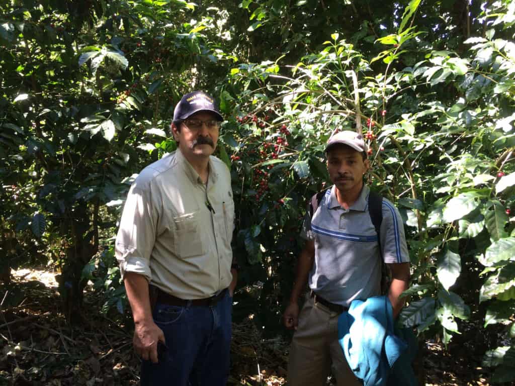 Rounton Coffee Roasters