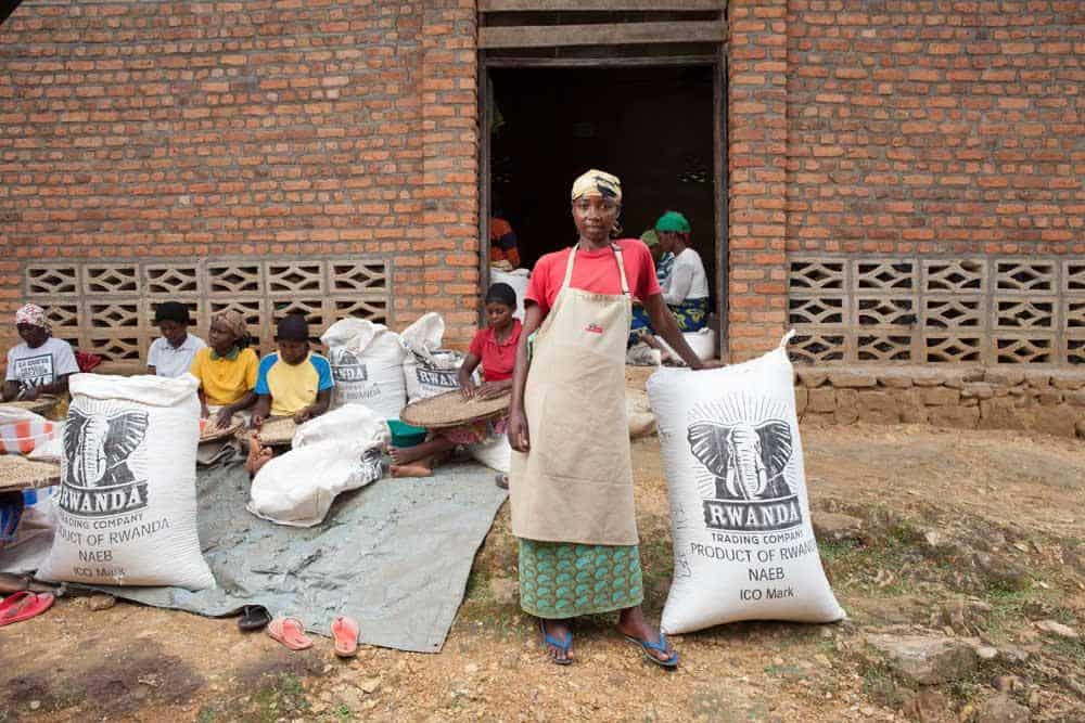 Rounton Coffee Roasters