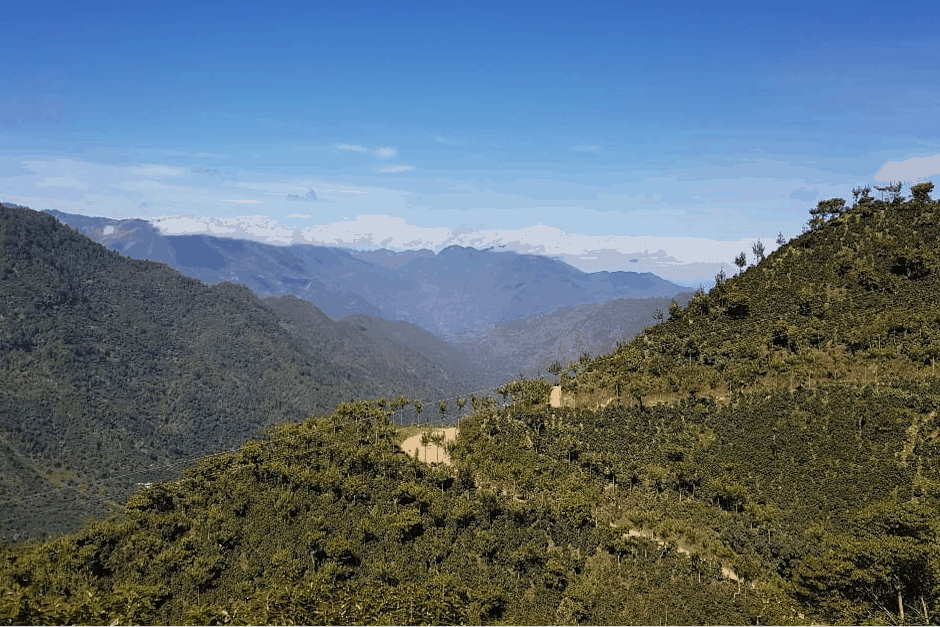 Gourmet Coffees April